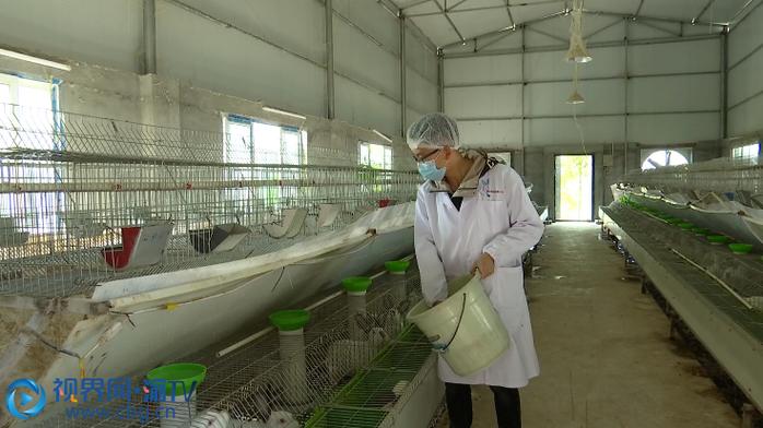 重庆涪陵:多措并举 助力养殖大户销售家禽