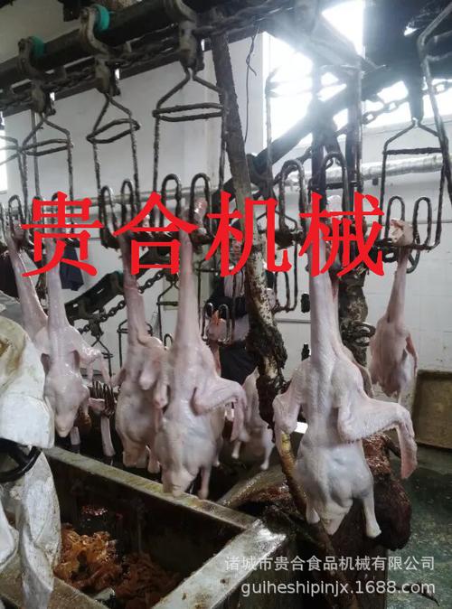 杀鸡设备多少钱 家禽屠宰机械哪家好 鸡鸭鹅自动屠宰设备厂家直销